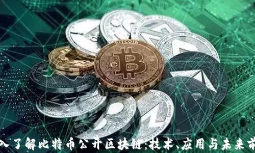 
深入了解比特币公开区块链：技术、应用与未来前景