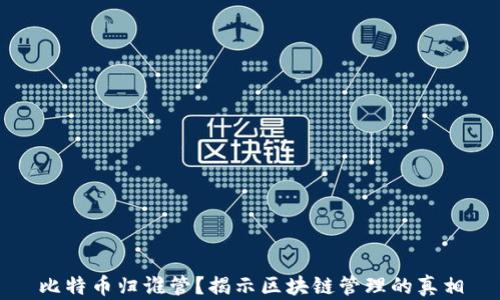 
比特币归谁管？揭示区块链管理的真相
