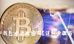 如何在TP钱包中修改密码？