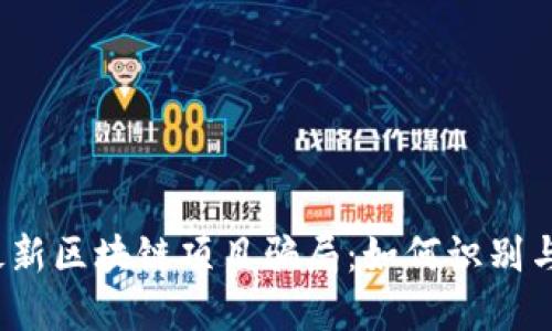 揭露最新区块链项目骗局：如何识别与防范？