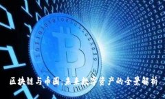 区块链与币圈：未来数字资产的全景解析