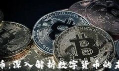 区块链阿浩论币：深入解析数字货币的未来与投