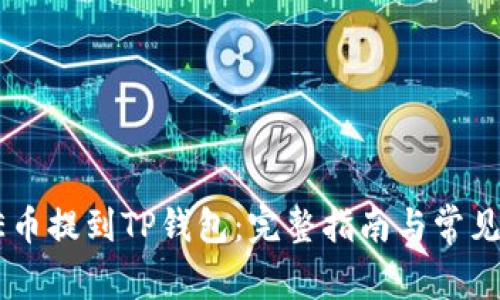 如何将AE币提到TP钱包：完整指南与常见问题解答