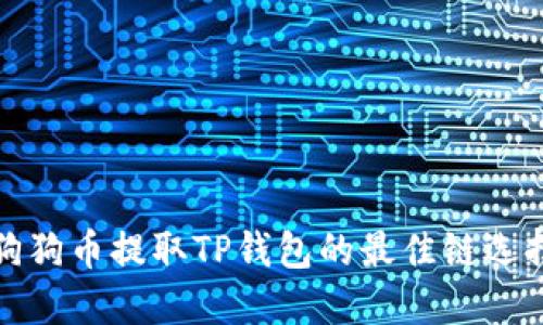 选择狗狗币提取TP钱包的最佳链选择指南