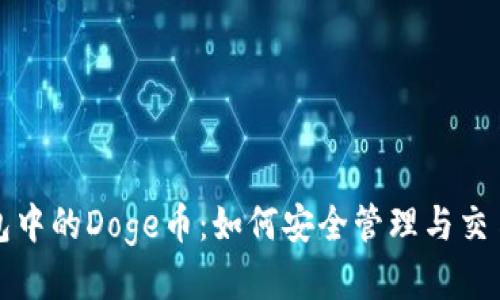 TP钱包中的Doge币：如何安全管理与交易指南